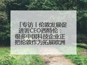 专访丨伦敦发展促进署CEO西特伦：很多中国科技企业正把伦敦作为拓展欧洲市场的门户