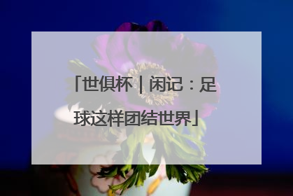 世俱杯｜闲记：足球这样团结世界