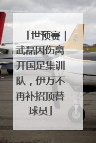 世预赛｜武磊因伤离开国足集训队，伊万不再补招顶替球员