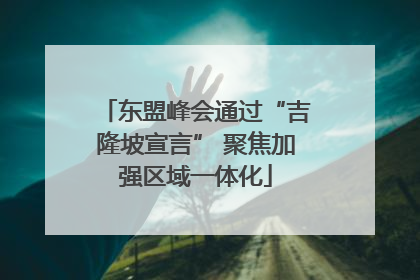 东盟峰会通过“吉隆坡宣言” 聚焦加强区域一体化