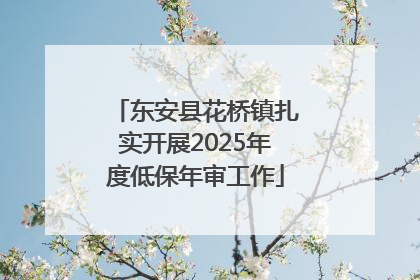 东安县花桥镇扎实开展2025年度低保年审工作