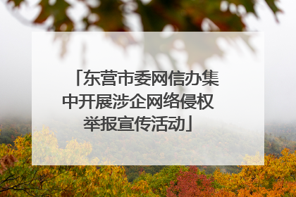东营市委网信办集中开展涉企网络侵权举报宣传活动