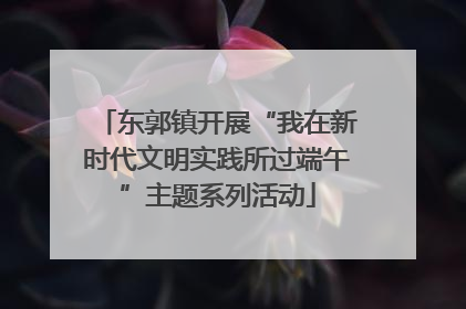 东郭镇开展“我在新时代文明实践所过端午”主题系列活动