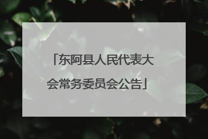 东阿县人民代表大会常务委员会公告