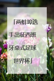 两蚌埠选手出征西班牙桌式足球世界杯