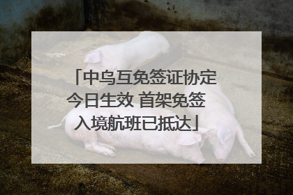 中乌互免签证协定今日生效 首架免签入境航班已抵达