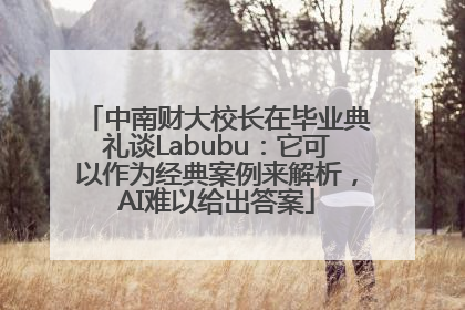 中南财大校长在毕业典礼谈Labubu：它可以作为经典案例来解析，AI难以给出答案