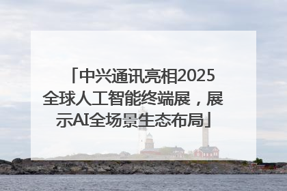 中兴通讯亮相2025全球人工智能终端展，展示AI全场景生态布局