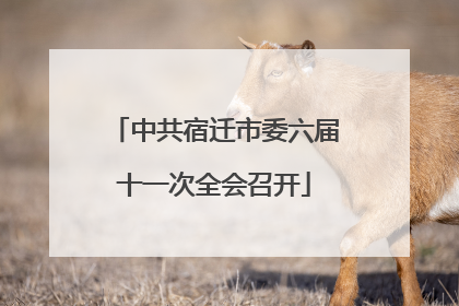 中共宿迁市委六届十一次全会召开