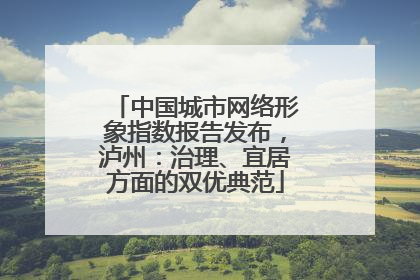 中国城市网络形象指数报告发布，泸州：治理、宜居方面的双优典范