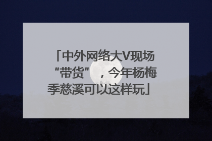 中外网络大V现场“带货”，今年杨梅季慈溪可以这样玩