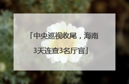 中央巡视收尾，海南3天连查3名厅官