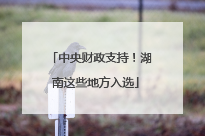中央财政支持！湖南这些地方入选