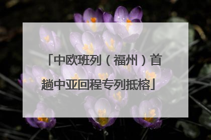 中欧班列（福州）首趟中亚回程专列抵榕