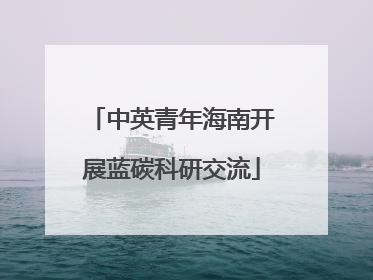 中英青年海南开展蓝碳科研交流