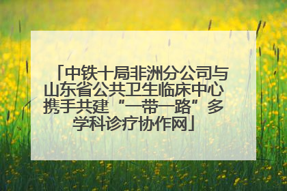 中铁十局非洲分公司与山东省公共卫生临床中心携手共建“一带一路”多学科诊疗协作网