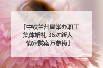 中铁兰州局举办职工集体婚礼 36对新人情定陇南万象街