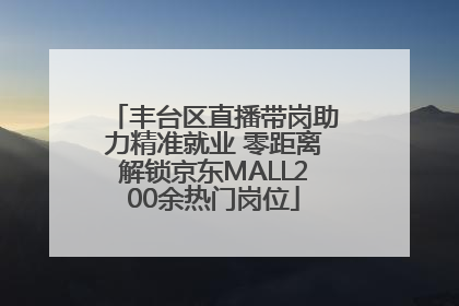 丰台区直播带岗助力精准就业 零距离解锁京东MALL200余热门岗位