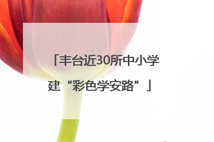 丰台近30所中小学建“彩色学安路”