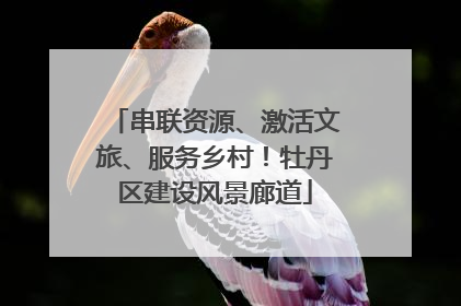 串联资源、激活文旅、服务乡村！牡丹区建设风景廊道