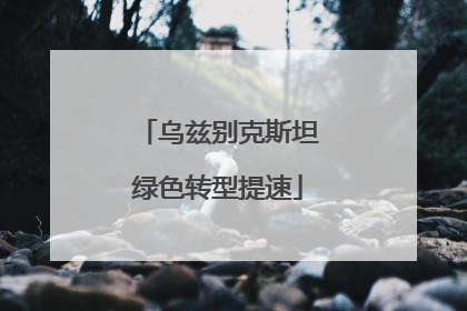 乌兹别克斯坦绿色转型提速