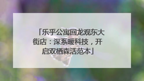 乐乎公寓回龙观东大街店：深系暖科技，开启双栖森活范本