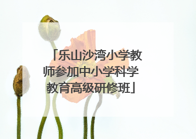 乐山沙湾小学教师参加中小学科学教育高级研修班