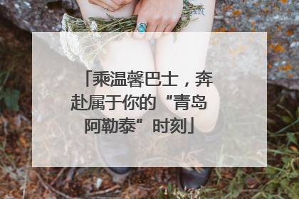乘温馨巴士，奔赴属于你的“青岛阿勒泰”时刻