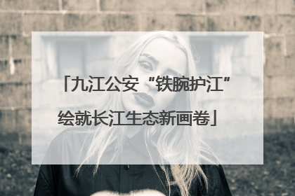 九江公安“铁腕护江”绘就长江生态新画卷