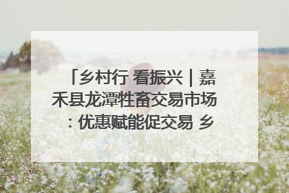 乡村行 看振兴｜嘉禾县龙潭牲畜交易市场：优惠赋能促交易 乡村振兴添动能