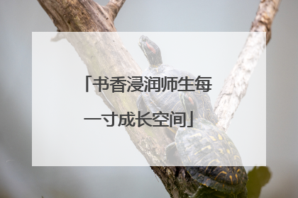 书香浸润师生每一寸成长空间