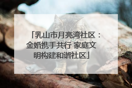 乳山市月亮湾社区：金婚携手共行 家庭文明构建和谐社区