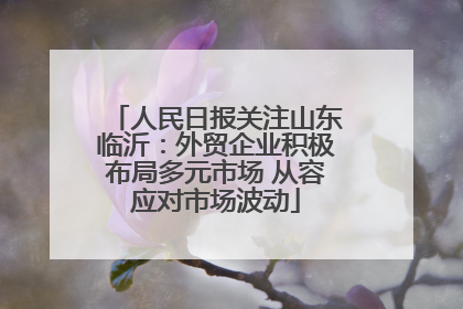 人民日报关注山东临沂：外贸企业积极布局多元市场 从容应对市场波动