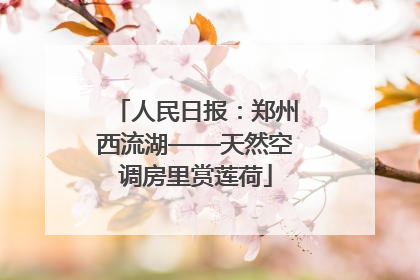 人民日报：郑州西流湖——天然空调房里赏莲荷