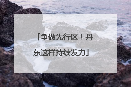 争做先行区！丹东这样持续发力