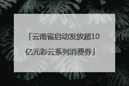 云南省启动发放超10亿元彩云系列消费券