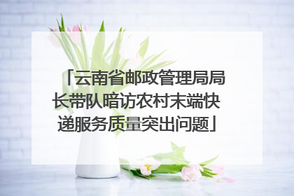 云南省邮政管理局局长带队暗访农村末端快递服务质量突出问题