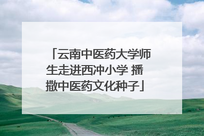云南中医药大学师生走进西冲小学 播撒中医药文化种子