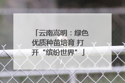 云南嵩明：绿色优质种苗培育 打开“缤纷世界”