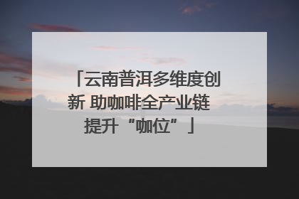 云南普洱多维度创新 助咖啡全产业链提升“咖位”