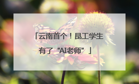 云南首个！昆工学生有了“AI老师”