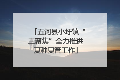 五河县小圩镇“三聚焦”全力推进夏种夏管工作