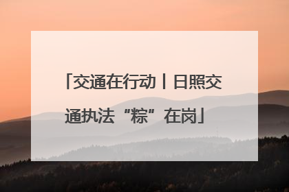 交通在行动丨日照交通执法“粽”在岗