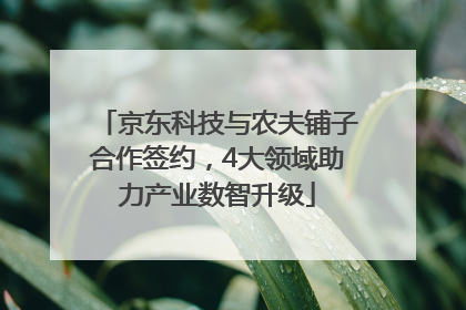京东科技与农夫铺子合作签约，4大领域助力产业数智升级