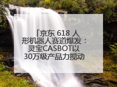 京东 618 人形机器人赛道爆发：灵宝CASBOT以30万级产品力搅动行业新变局