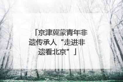 京津冀蒙青年非遗传承人“走进非遗看北京”
