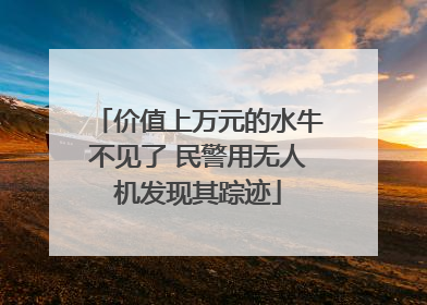 价值上万元的水牛不见了 民警用无人机发现其踪迹