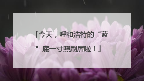 今天，呼和浩特的“蓝”底一寸照刷屏啦！