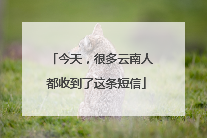今天，很多云南人都收到了这条短信