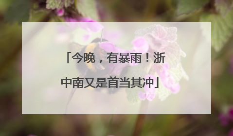 今晚，有暴雨！浙中南又是首当其冲